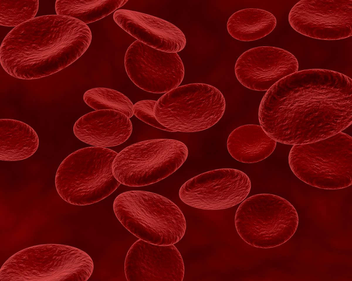 hemoglobinas-vaidmuo-odos-paraudime Hemoglobinas vaidmuo odos paraudime